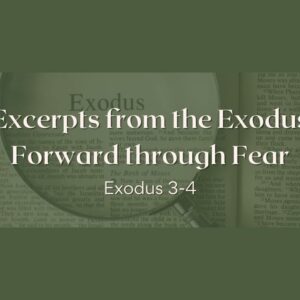 Forward Through Fear