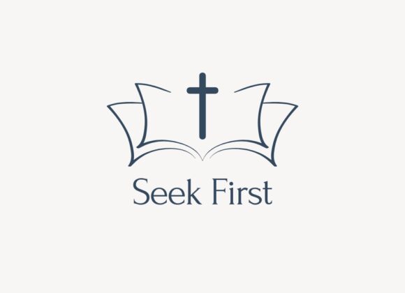 Seek First Seek First